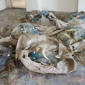 Peste 100 kilograme de peşte fără documente legale şi plase monofilament, confiscate de poliţiştii de frontieră tulceni