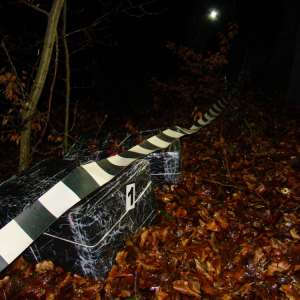 Liderul unei grupări infracționale organizate, axată pe contrabanda cu țigări, și alți 21de membri ai reţelei au fost trimişi în judecată