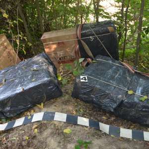 Aproximativ 18.000 pachete cu ţigări de contrabandă, confiscate la frontiera de nord