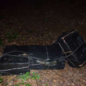 Peste 18.000 pachete țigări confiscate la frontiera de nord