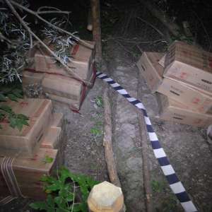 Peste 23.000 de pachete cu țigări confiscate şi un cetățean român, implicat în contrabandă, reținut la frontieră