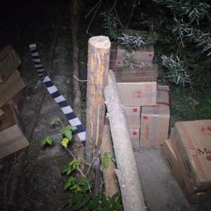 Peste 23.000 de pachete cu țigări confiscate şi un cetățean român, implicat în contrabandă, reținut la frontieră