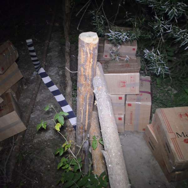 Peste 23.000 de pachete cu țigări confiscate şi un cetățean român, implicat în contrabandă, reținut la frontieră