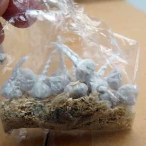 Sute de kilograme de materiale pirotehnice fără documente legale, descoperite la P.T.F. Giurgiu