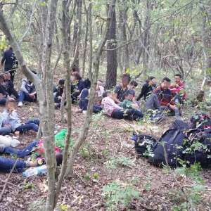 25 de imigranți sirieni şi trei călăuze bulgare, depistaţi de poliţiştii de frontieră constănţeni