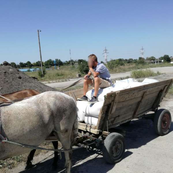 Polițiștii de frontieră brăileni au recuperat aproximativ 900 kg de orz sustras de pe o barjă aflată în rada Portului Brăila