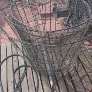 Braconieri depistaţi de poliţiştii de frontieră brăileni