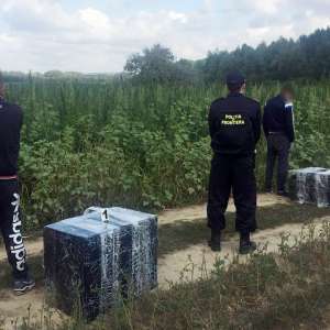 Contrabandişti cu ţigările în spate, opriţi cu focuri de armă la Păltiniş