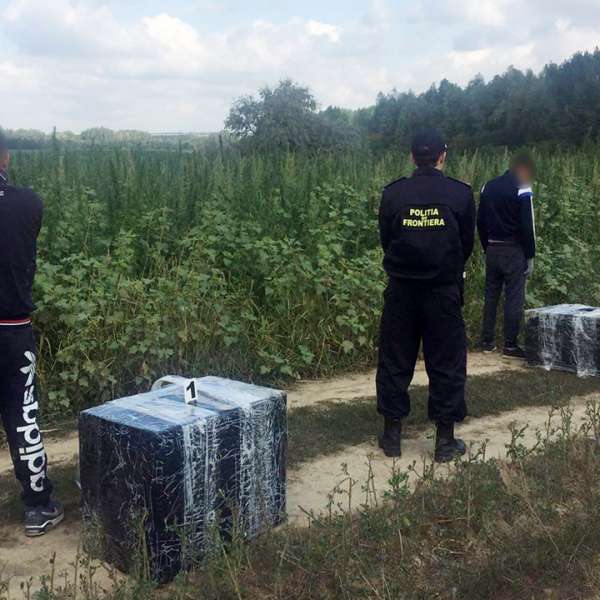 Contrabandişti cu ţigările în spate, opriţi cu focuri de armă la Păltiniş