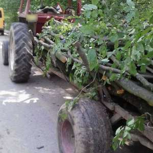 Ansamblu de vehicule condus de un șofer care nu avea permis de conducere   