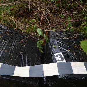 Peste 19.000 de pachete cu țigări confiscate la frontiera de Nord