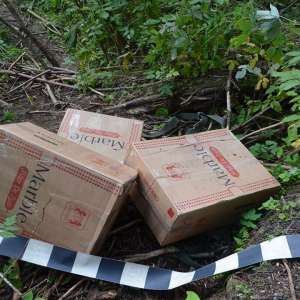 Peste 19.000 de pachete cu țigări confiscate la frontiera de Nord