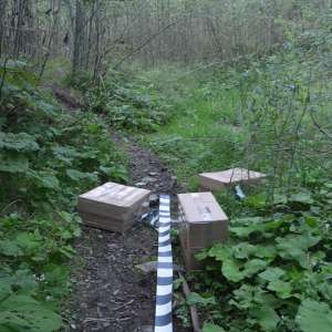 Peste 19.000 de pachete cu țigări confiscate la frontiera de Nord