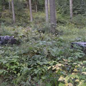 Aproximativ 13.000 pachete cu țigări confiscate în urma mai multor acțiuni pe linia combaterii contrabandei