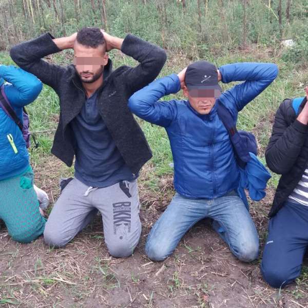 Patru cetățeni din Libia şi Algeria opriți la frontiera arădeană
