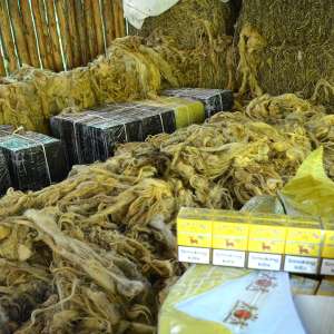 4.500 pachete cu țigări de contrabandă, descoperite într-un saivan pentru animale