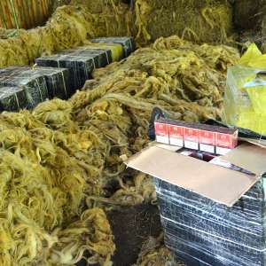 4.500 pachete cu țigări de contrabandă, descoperite într-un saivan pentru animale