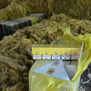 4.500 pachete cu țigări de contrabandă, descoperite într-un saivan pentru animale