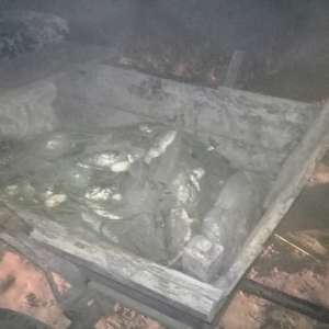 Fraţi braconieri depistaţi de poliţiştii de frontieră brăileni   