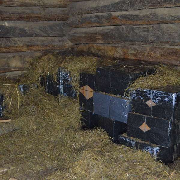 Aproximativ 18.500 pachete cu țigări de contrabandă confiscate de polițiștii de frontieră maramureșeni