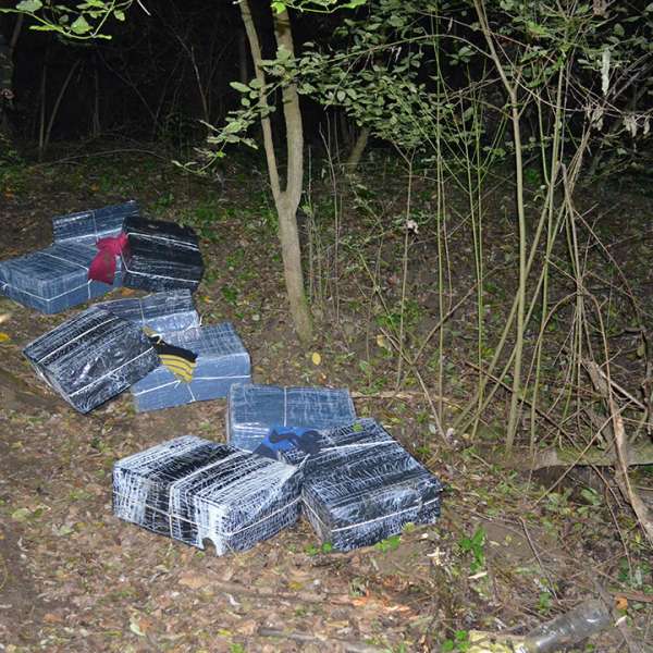 Aproximativ 13.000 pachete cu țigări de contrabandă, confiscate la frontiera de nord