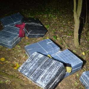 Aproximativ 13.000 pachete cu țigări de contrabandă, confiscate la frontiera de nord