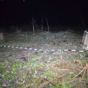 Aproximativ 25.000 de pachete cu ţigări de contrabandă, confiscate la frontiera de nord