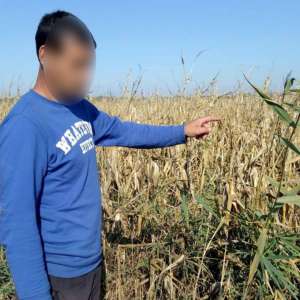 Doi gălăţeni prinsi la furat de către poliţiştii de frontieră