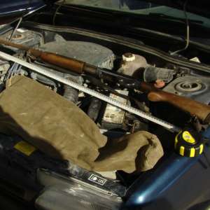 Peste 80 kilograme de peşte fără documente legale şi o armă de vânătoare, confiscate de poliţiştii de frontieră tulceni