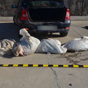 Peste 200 kilograme de peşte confiscate de poliţiştii de frontieră gălăţeni   