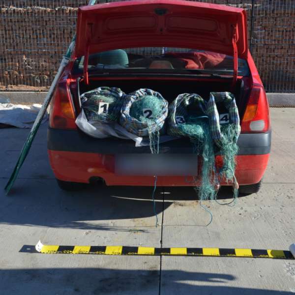 Peste 200 kilograme de peşte confiscate de poliţiştii de frontieră gălăţeni