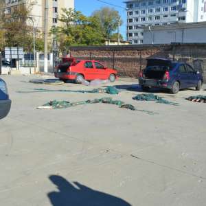 Peste 200 kilograme de peşte confiscate de poliţiştii de frontieră gălăţeni   