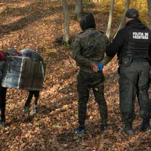 3.000 pachete ţigări de contrabandă, transportate peste frontieră cu calul