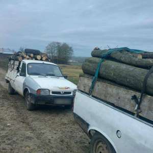 Amenzi, în valoare totală de 24.000 lei, aplicate de polițiștii de frontieră pentru transport de material lemnos fără documente de proveniență   