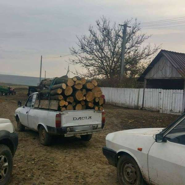 Amenzi, în valoare totală de 24.000 lei, aplicate de polițiștii de frontieră pentru transport de material lemnos fără documente de proveniență