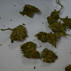 Peste jumătate de kilogram de canabis,  descoperite de polițiștii de frontieră