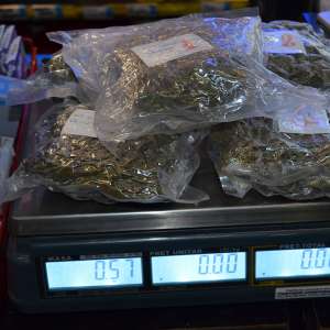 Peste jumătate de kilogram de canabis,  descoperite de polițiștii de frontieră