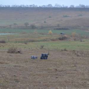 Contrabandă cu mii de ţigarete, peste râul Prut