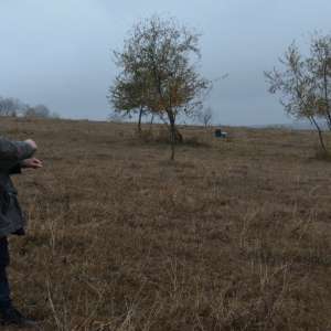 Contrabandă cu mii de ţigarete, peste râul Prut