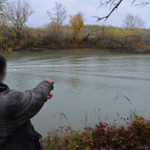 Contrabandă cu mii de ţigarete, peste râul Prut