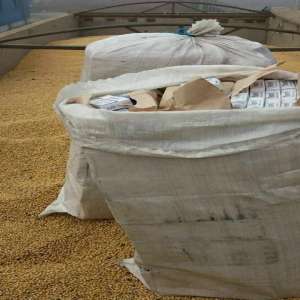 Ţigarete de contrabandă ascunse în soia