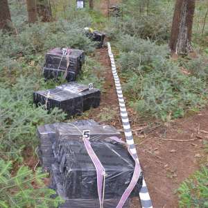 Peste 34.700 pachete cu țigări, confiscate la frontiera cu Ucraina