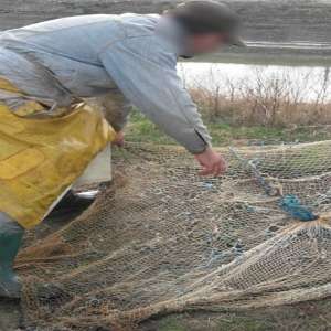 Brăilean cercetat pentru braconaj piscicol