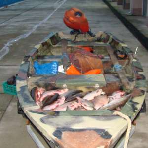 Peste 70 kg peşte fără documente legale,  confiscate de poliţiştii de frontieră tulceni