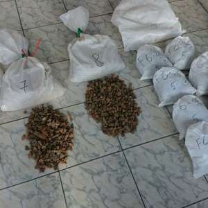 Peste 88 de kilograme de chihlimbar, ascunse într-o autoutilitară