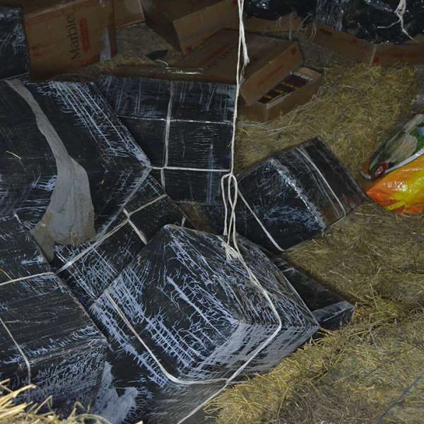 Țigări de contrabandă, ascunse într-un saivan, descoperite la granița cu Ucraina