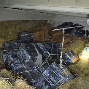 Țigări de contrabandă, ascunse într-un saivan, descoperite la granița cu Ucraina