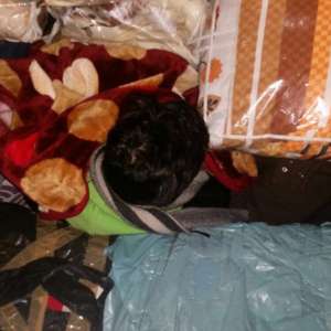 Şase persoane din Afganistan și Siria ascunse într-un microbuz, printre bagaje, depistate de poliţiştii de frontieră de la S.P.F. Nădlac