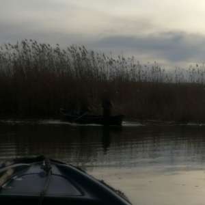 Peste 3.200 m plase de pescuit și zeci de kg peşte fără documente legale, confiscate de poliţiştii de frontieră tulceni