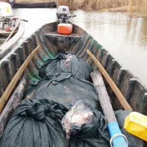 155 kilograme de peşte fără documente legale, confiscate de poliţiştii de frontieră tulceni